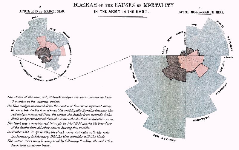 Florence Nightingale's Chart