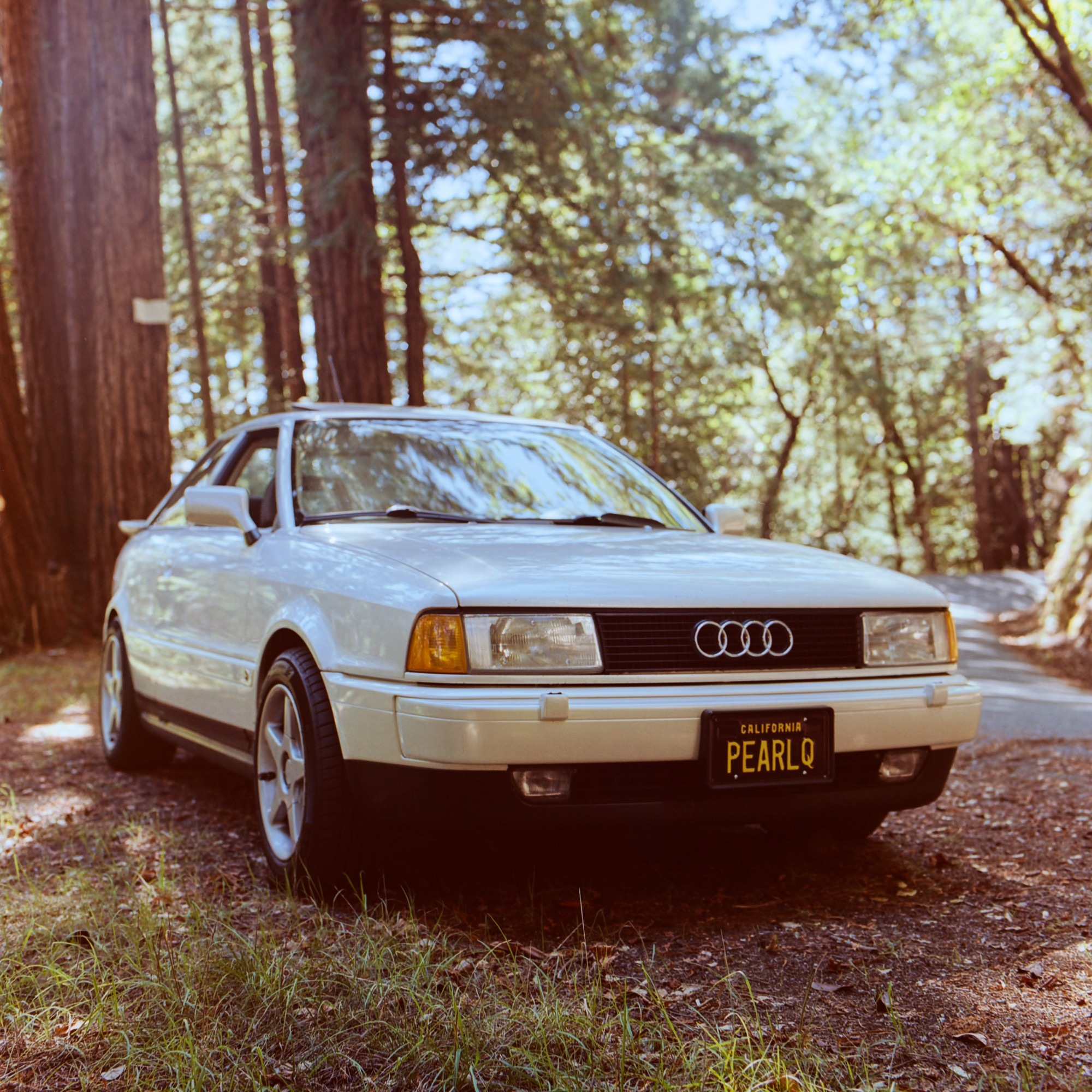 Audi Coupe Quattro in the forest