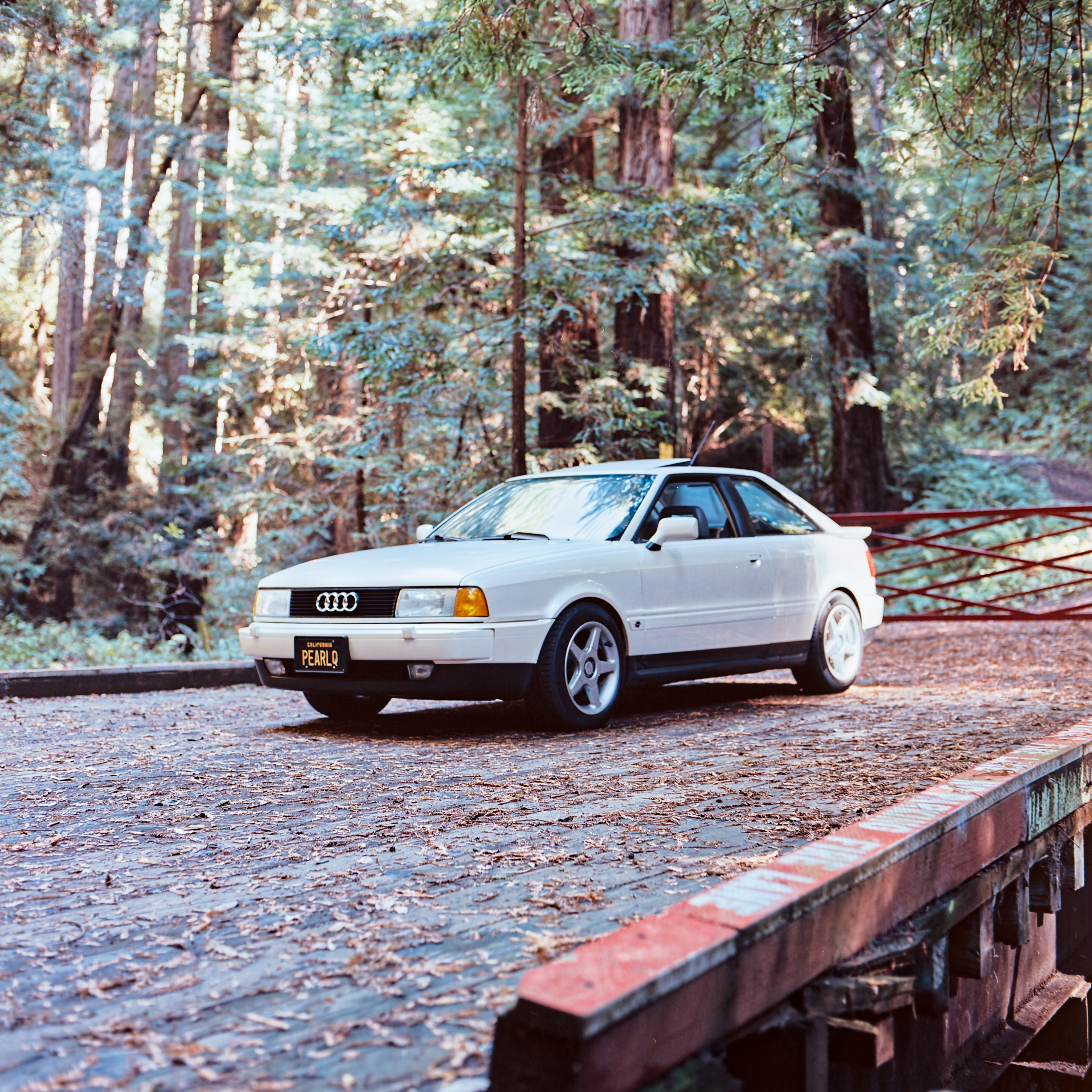 Audi Coupe Quattro in the forest